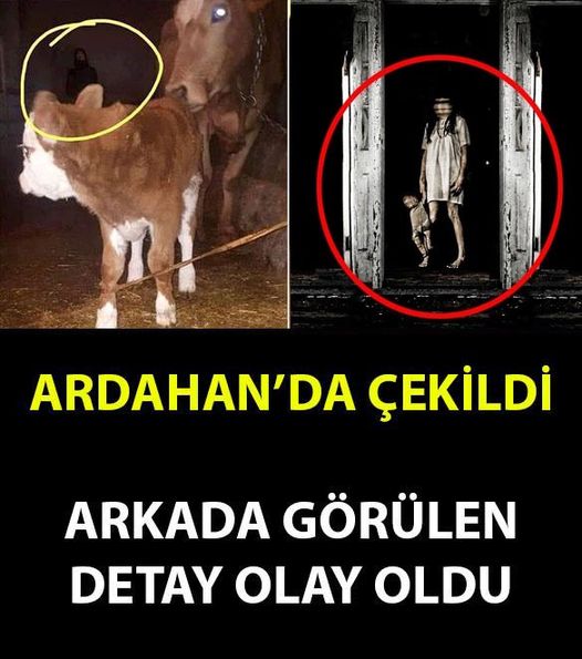 ARKAYA DİKKAT ! ARDAHAN'DA ÇEKİLDİ..