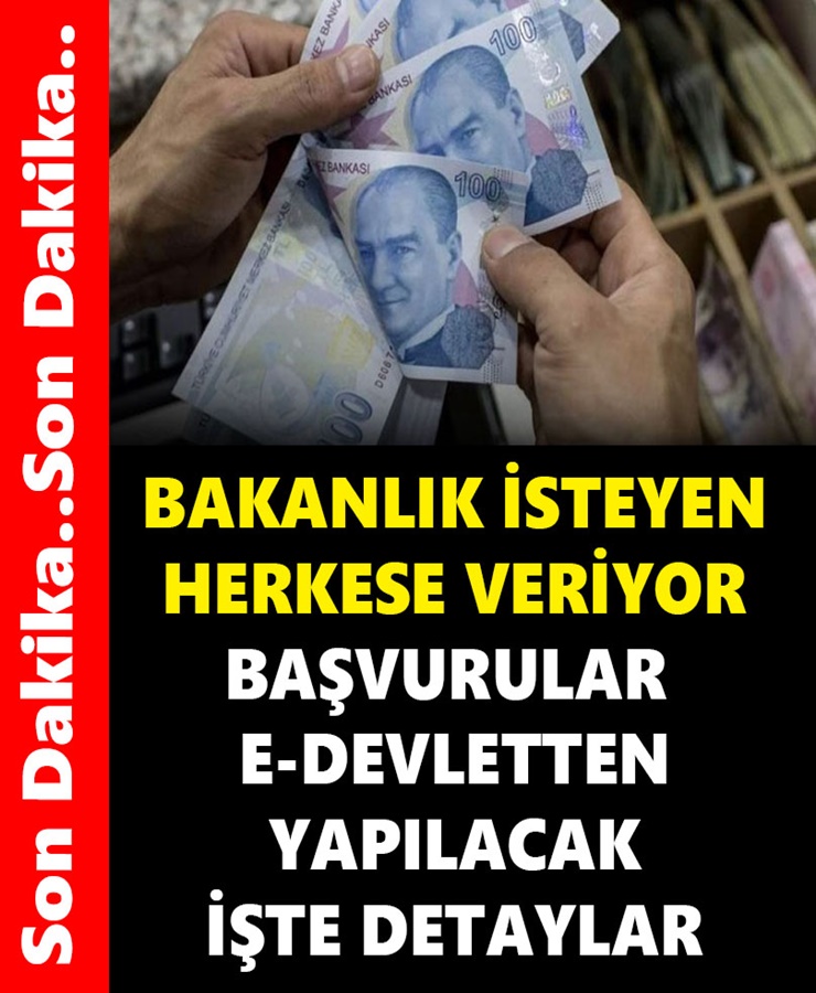 Bakanlık İsteyen Herkese Veriyor Başvurular E- Devletten Yapılacak