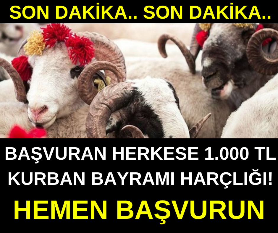 Başvuranlara 1000 TL Kurban Bayramı Harçlığı Verilecek