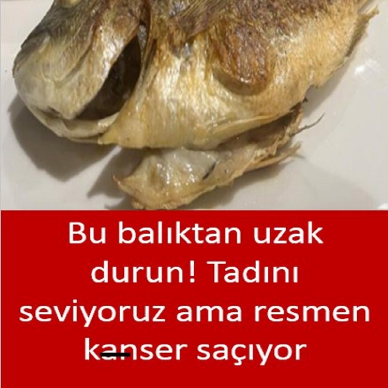 Bu balıktan uzak durun! Tadını seviyoruz ama resmen kanser saçıyor