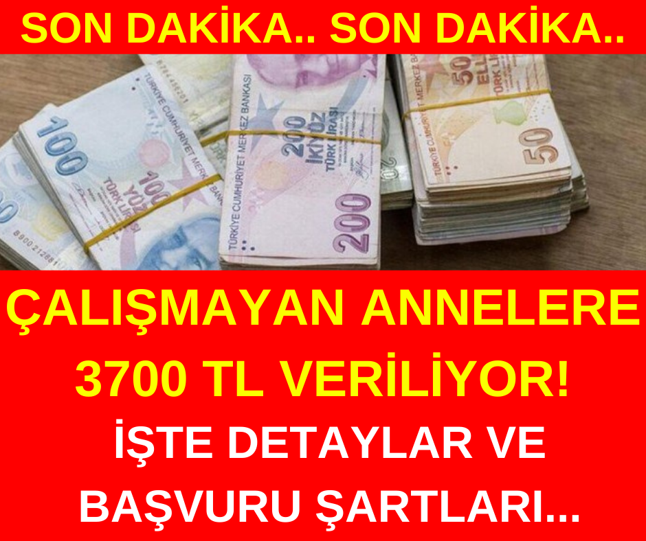 Çalışmayan Annelere 3700 tl Verilecek 