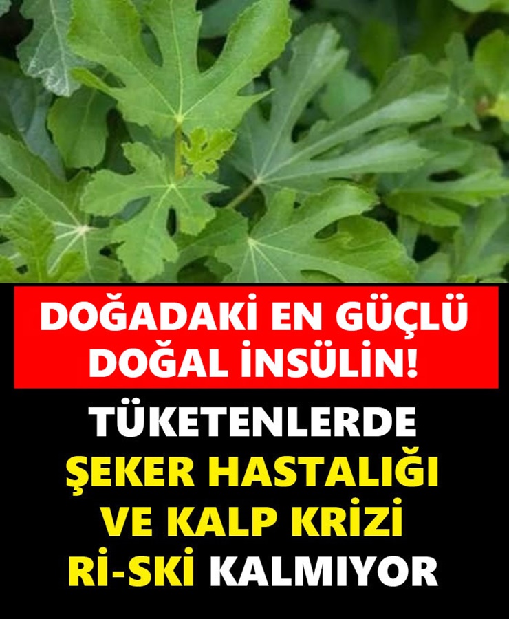 Doğadaki En Güçlü İnsülin Tüketenlerde Şeker Hastalığı ve Kalp Krizi Riski Kalmıyor