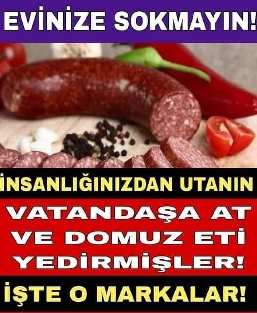 DOMUZ ETİ VE AT ETİ YEMİŞİZ !