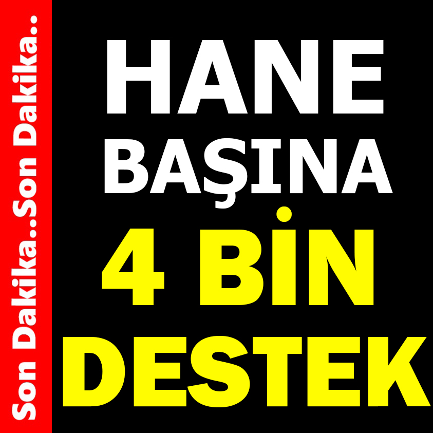 HANE BAŞINA DESTEK