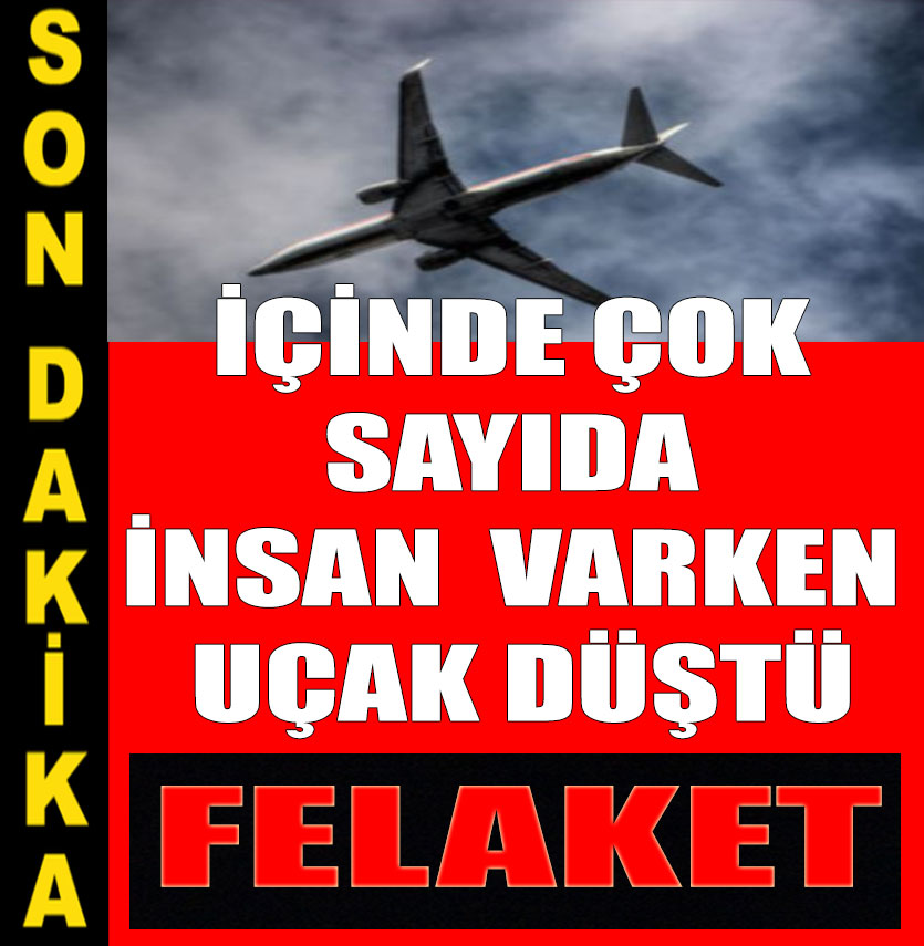 İçinde çok sayıda insan varken uçak düştü