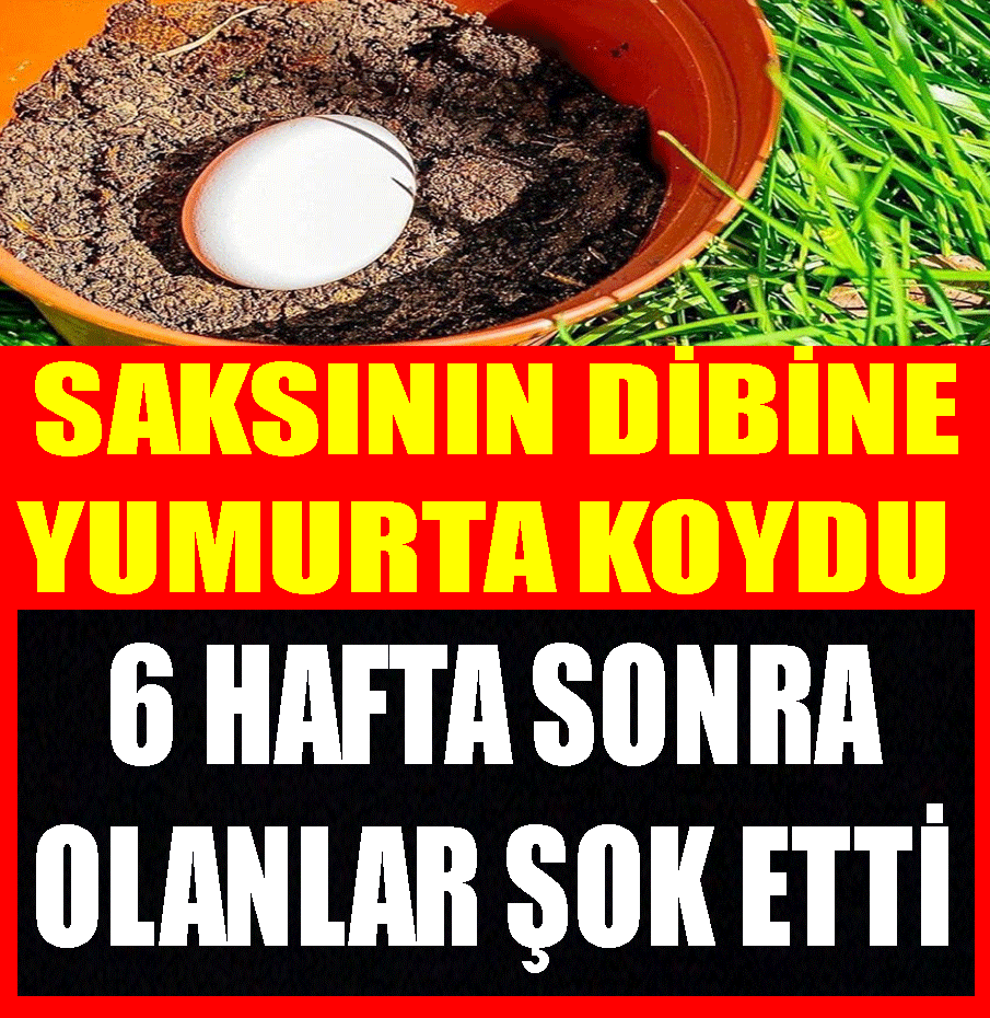 İTİRAF EDİYORUM !