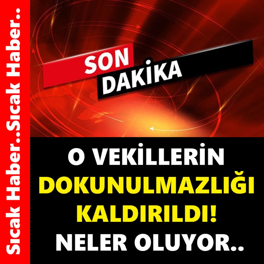 O VEKİLLERİN DOKUNULMAZLIĞI KALDIRILDI NELER OLUYOR