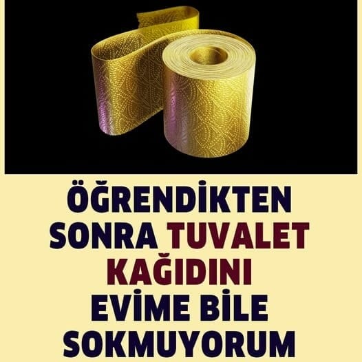 ÖĞRENDİKTEN SONRA TUVALET KAĞIDINI EVİME BİLE SOKMUYORUM