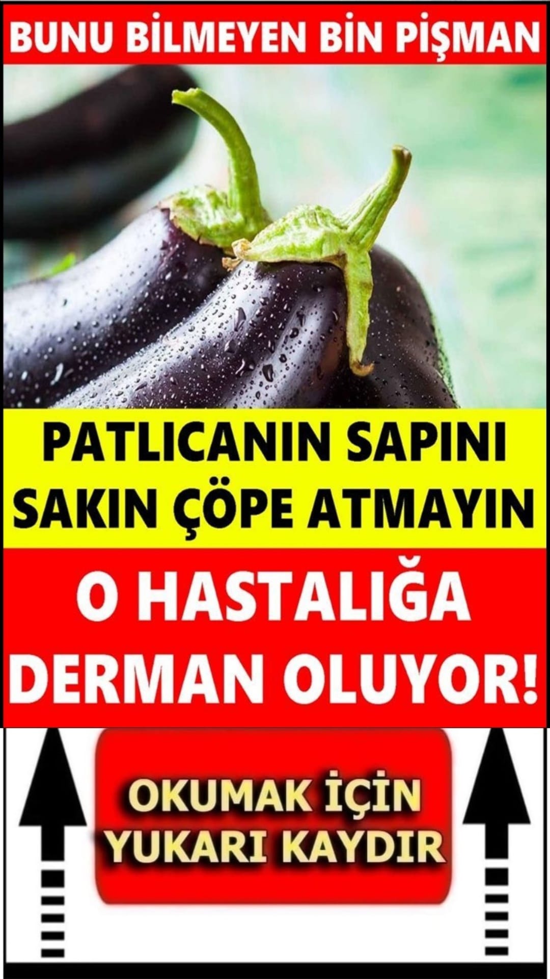 PATLICAN SAPINI SAKIN ATMAYIN!