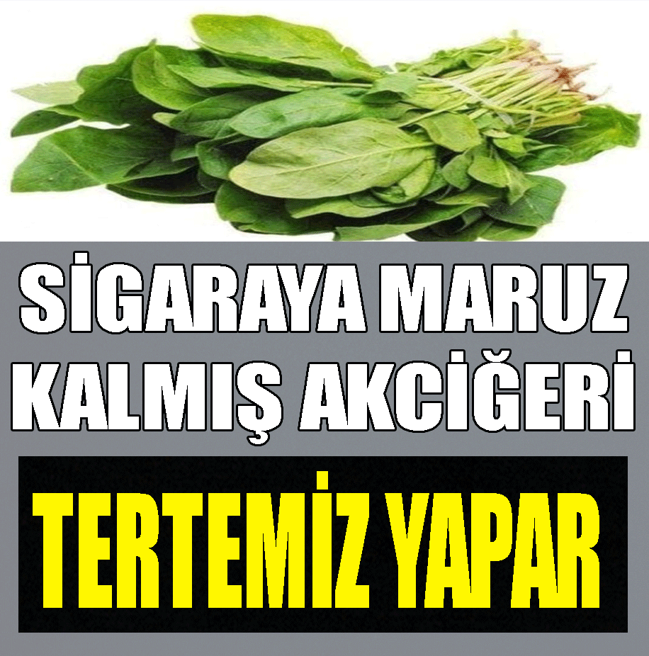 SİGARA İÇENLER DİKKAT !