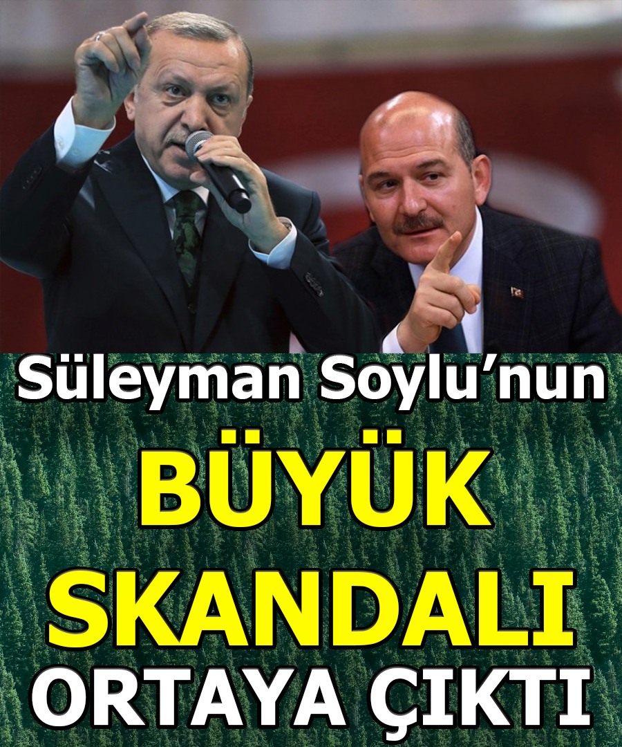 Süleyman Soylu'nun büyük skandalı ortaya çıktı