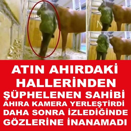 ŞÜPHELENEN SAHİBİ AHIRA KAMERA YERLEŞTİRDİ