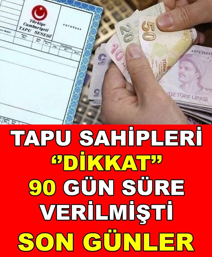 Tapu sahipleri dikkat: 90 gün içinde başvuru yapmayan hakkını kaybedecek