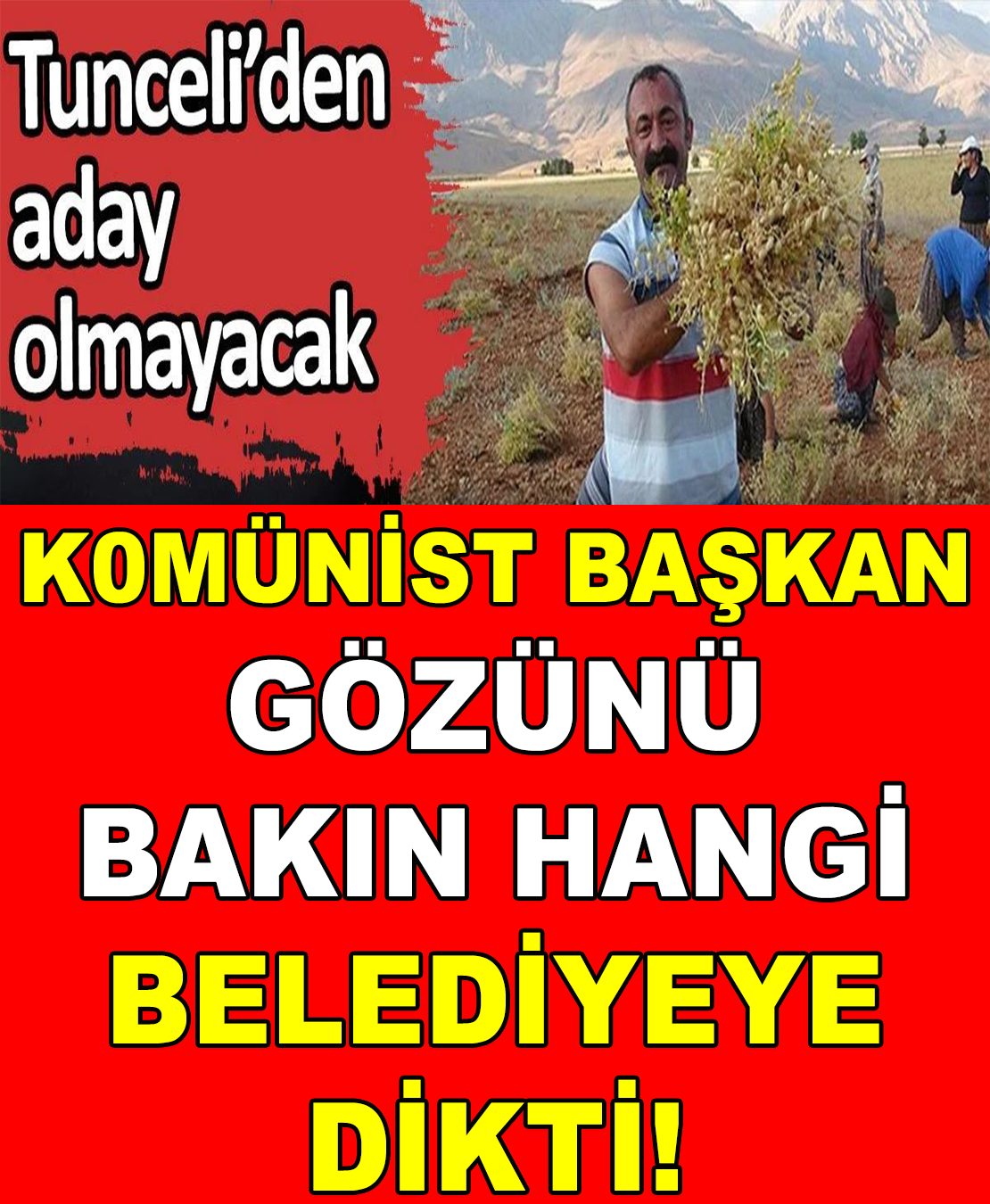 Tunceli’den aday olmayacak