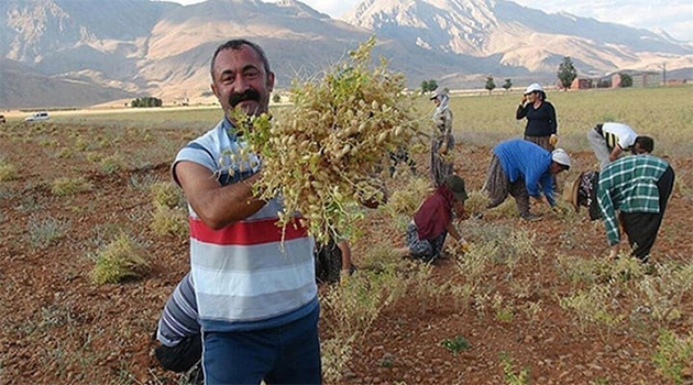 Tunceli’den aday olmayacak