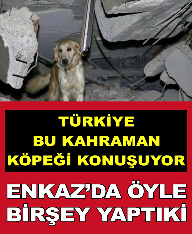 TÜRKİYE BU KAHRAMAN KÖPEĞİ KONUŞUYOR