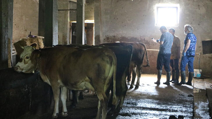 Türkiye'de Büyük Şok Karantina Dönemi Tekrardan Başladı