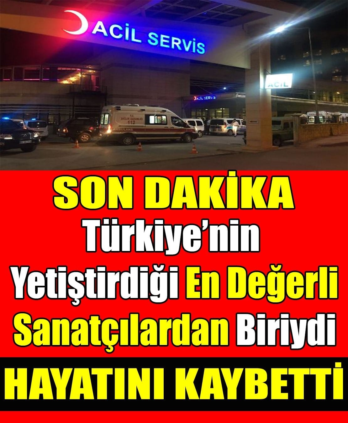 Türkiye'nin Yetiştirdiği En Değerli Sanatçılardan Biriydi Hayatını Kaybetti