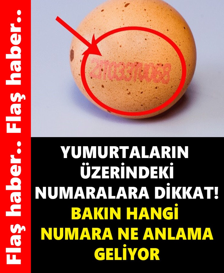 Yumurtaların Üzerindeki Numaralara Dikkat